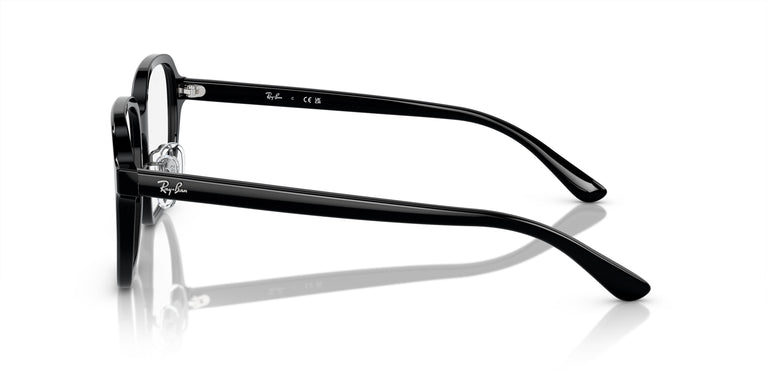 Ray-Ban RX5424D 2000 54