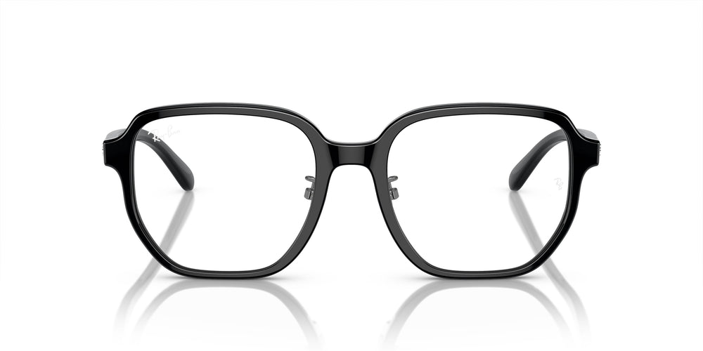 Ray-Ban RX5424D 2000 54