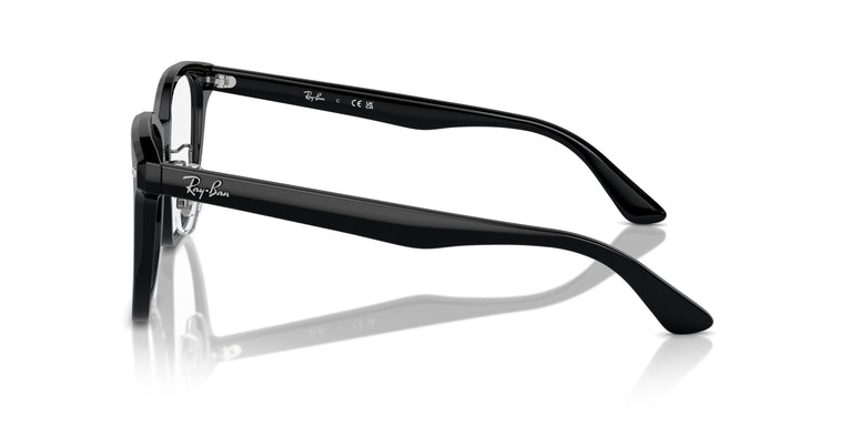 Ray-Ban RX5425D 2000 54