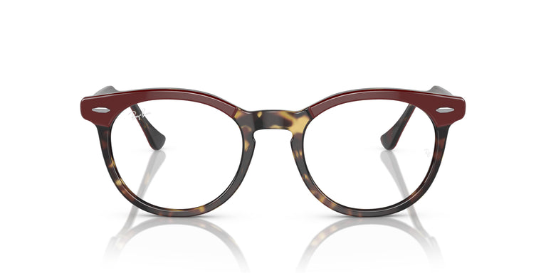 Ray-Ban RX5598 EAGLEEYE 8250 51
