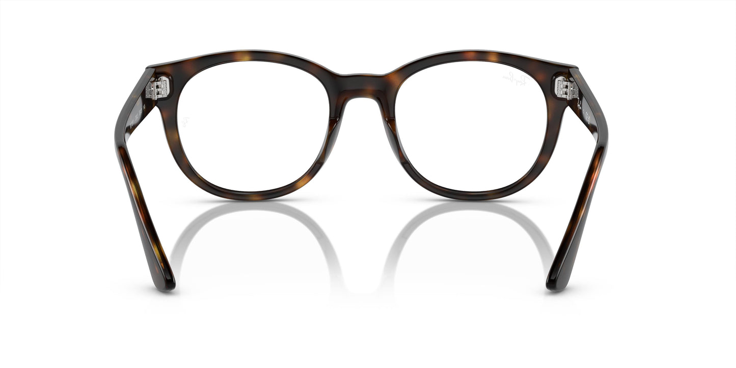 Ray-Ban RX7227 2012 53