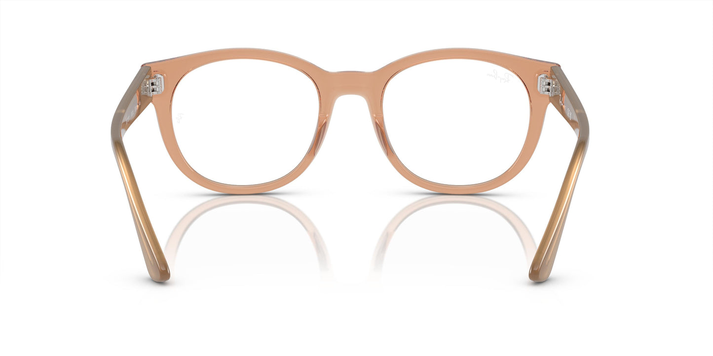 Ray-Ban RX7227 8313 53