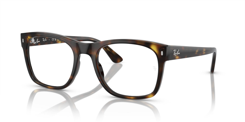 Ray-Ban RX7228 2012 55