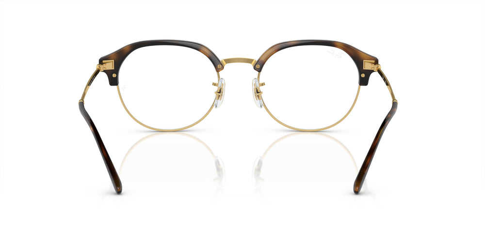 Ray-Ban RX7229 2012 51