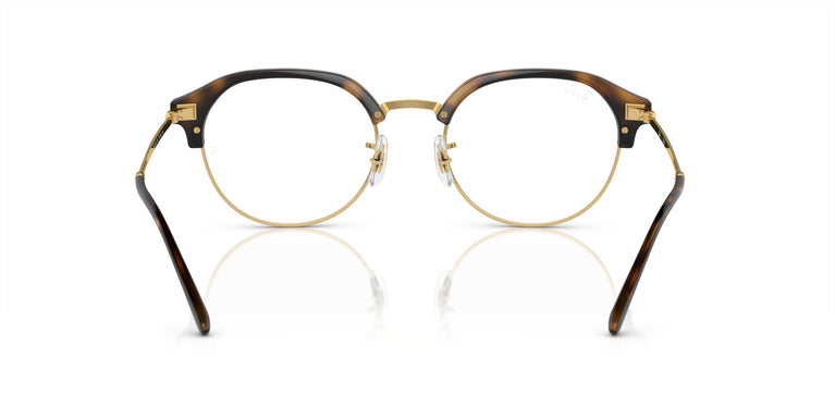 Ray-Ban RX7229 2012 53