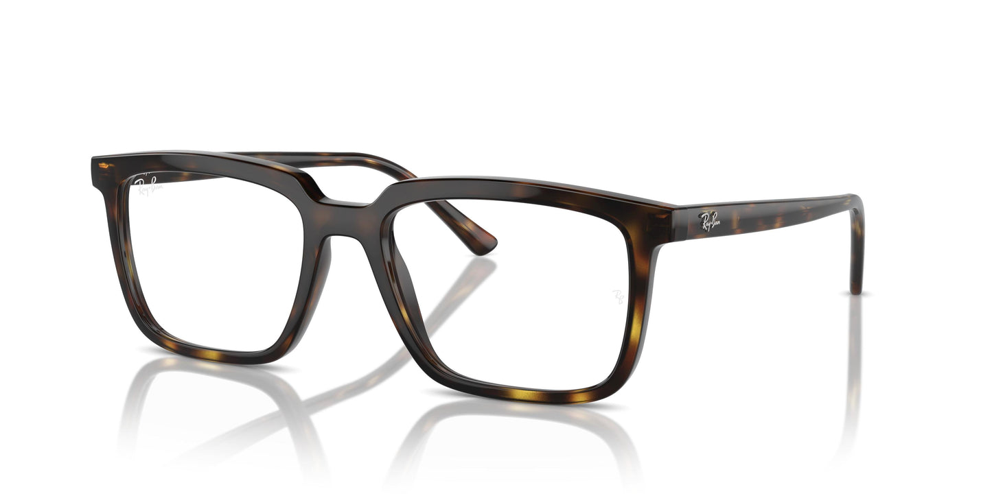 Ray-Ban RX7239 ALAIN 2012 54