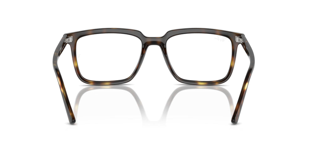 Ray-Ban RX7239 ALAIN 2012 54