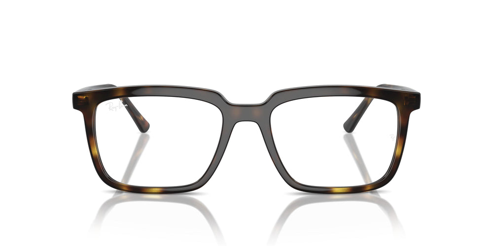 Ray-Ban RX7239 ALAIN 2012 52