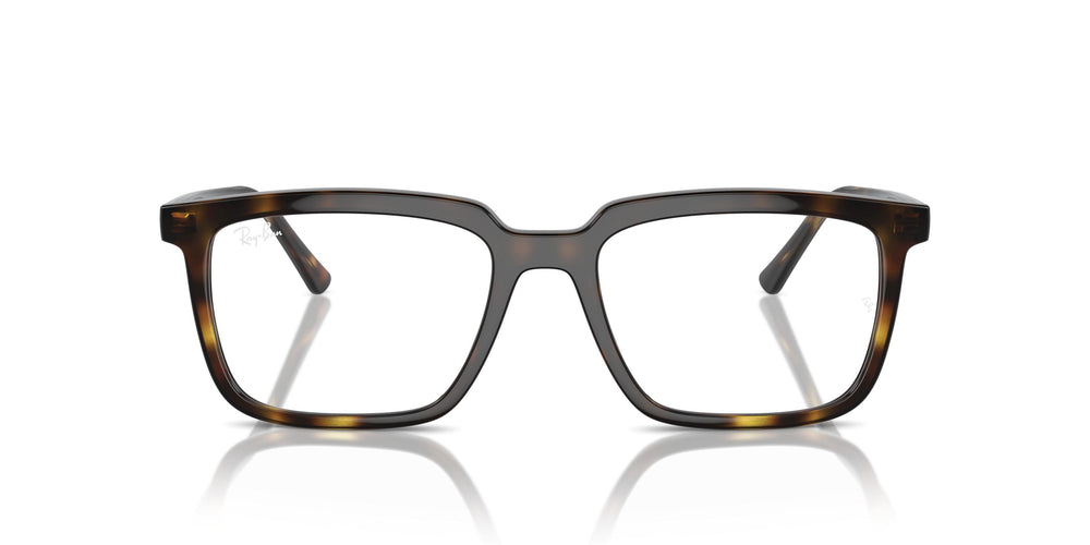 Ray-Ban RX7239 ALAIN 2012 54