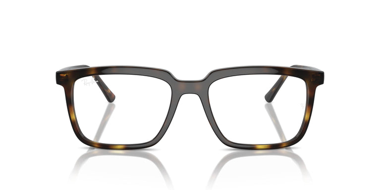 Ray-Ban RX7239 ALAIN 2012 54