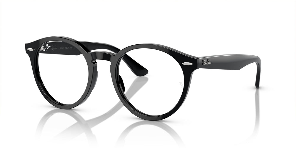 Ray-Ban RX7680V LARRY 2000 51