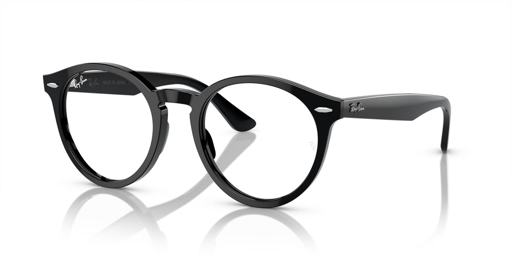 Ray-Ban RX7680V LARRY 2000 49