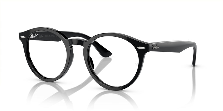 Ray-Ban RX7680V LARRY 2000 49