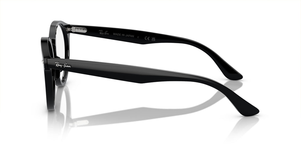 Ray-Ban RX7680V LARRY 2000 51
