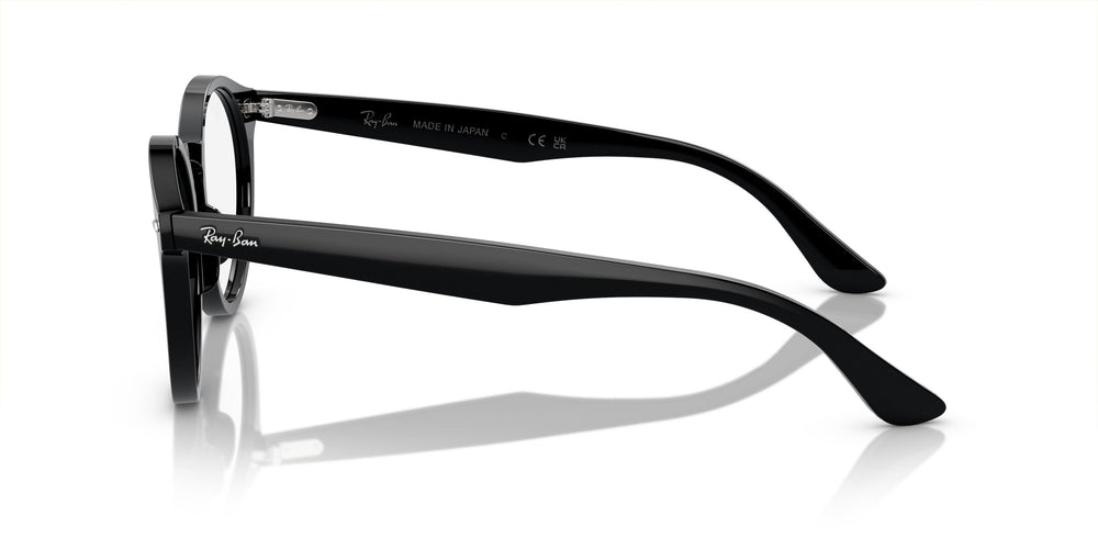 Ray-Ban RX7680V LARRY 2000 49