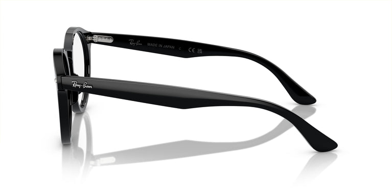 Ray-Ban RX7680V LARRY 2000 49