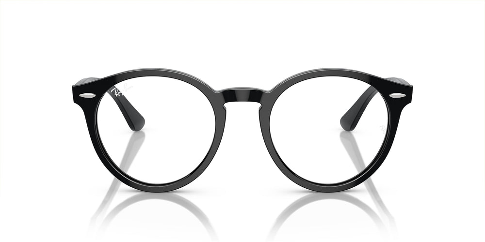 Ray-Ban RX7680V LARRY 2000 49