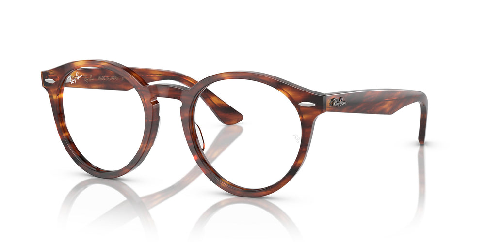 Ray-Ban RX7680V LARRY 2144 49