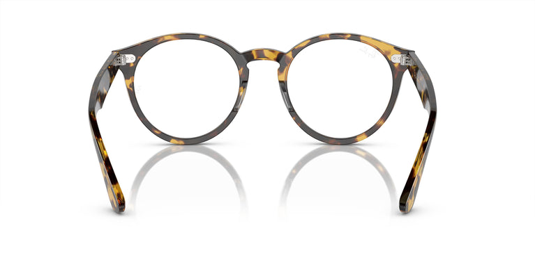 Ray-Ban RX7680V LARRY 8116 49