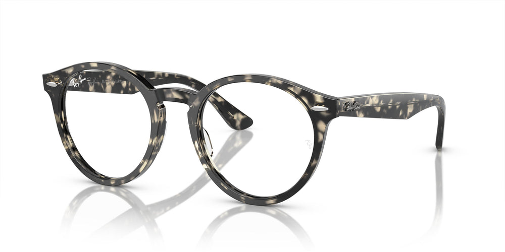 Ray-Ban RX7680V LARRY 8117 49