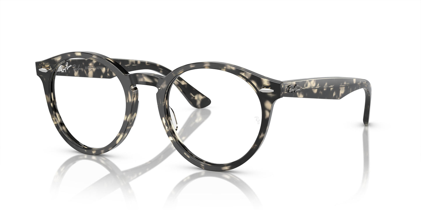 Ray-Ban RX7680V LARRY 8117 49