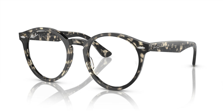 Ray-Ban RX7680V LARRY 8117 49