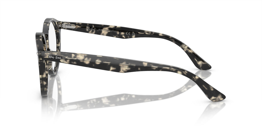 Ray-Ban RX7680V LARRY 8117 51