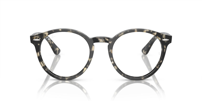 Ray-Ban RX7680V LARRY 8117 51