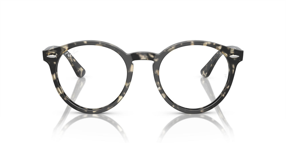 Ray-Ban RX7680V LARRY 8117 49