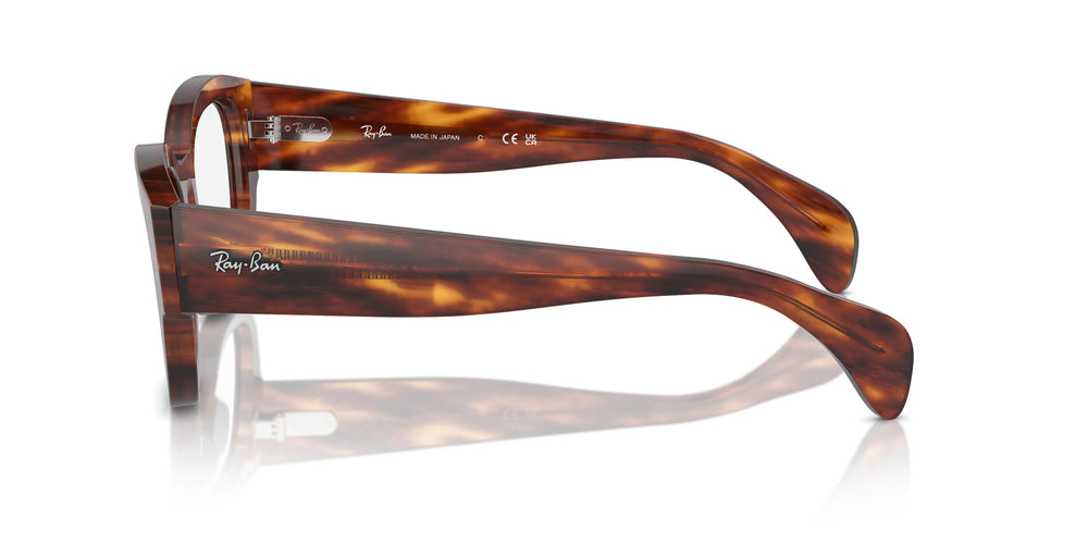 Ray-Ban RX7681V JORGE 2144 52