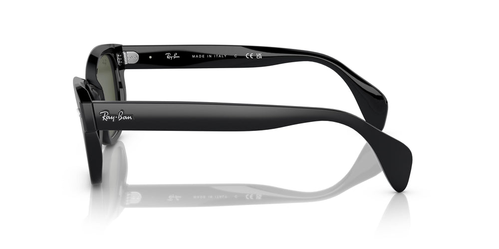 Ray-Ban RB0880S 901/31 52
