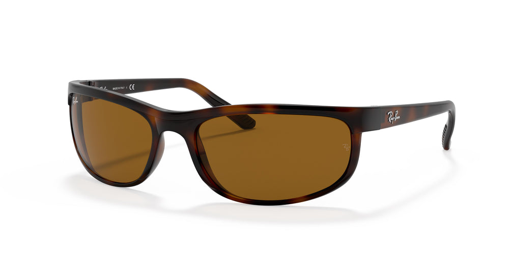 Ray-Ban RB2027 PREDATOR 2 650833 62