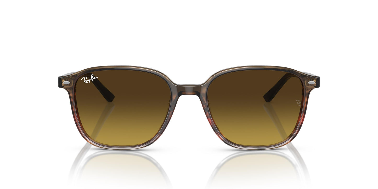 Ray-Ban RB2193 LEONARD 138085 53