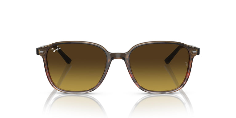 Ray-Ban RB2193 LEONARD 138085 53