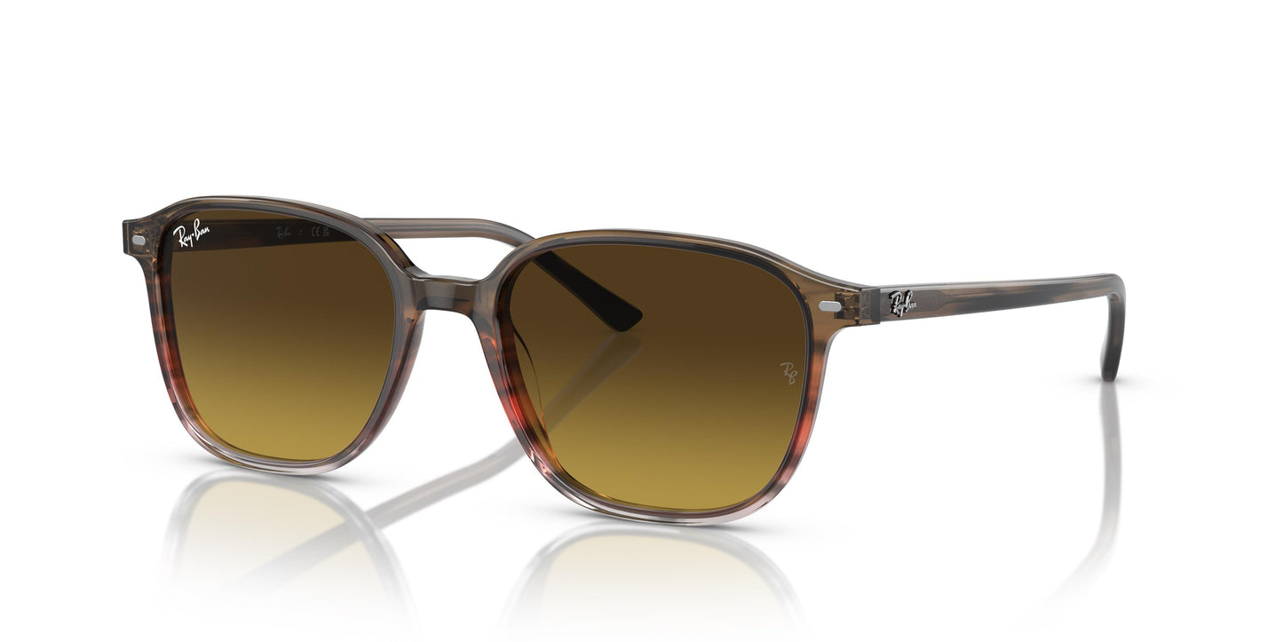 Ray-Ban RB2193 LEONARD 138085 53