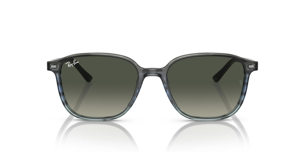 Ray-Ban RB2193 LEONARD 138171 53