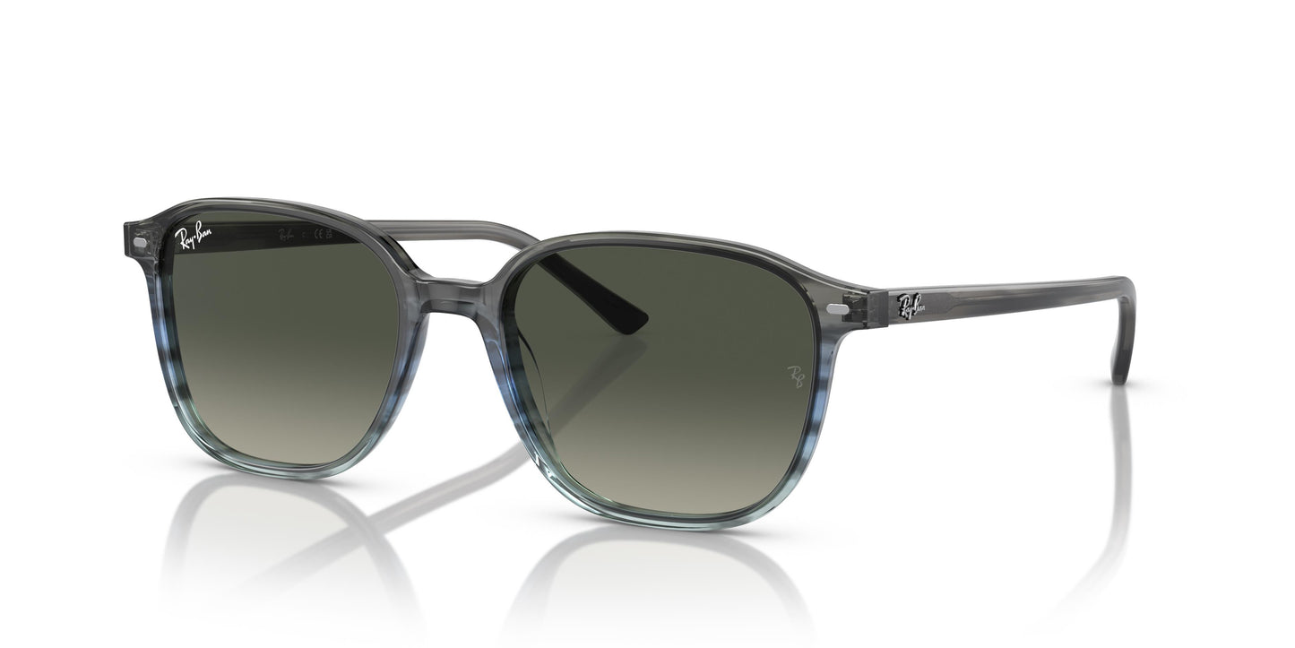 Ray-Ban RB2193 LEONARD 138171 55
