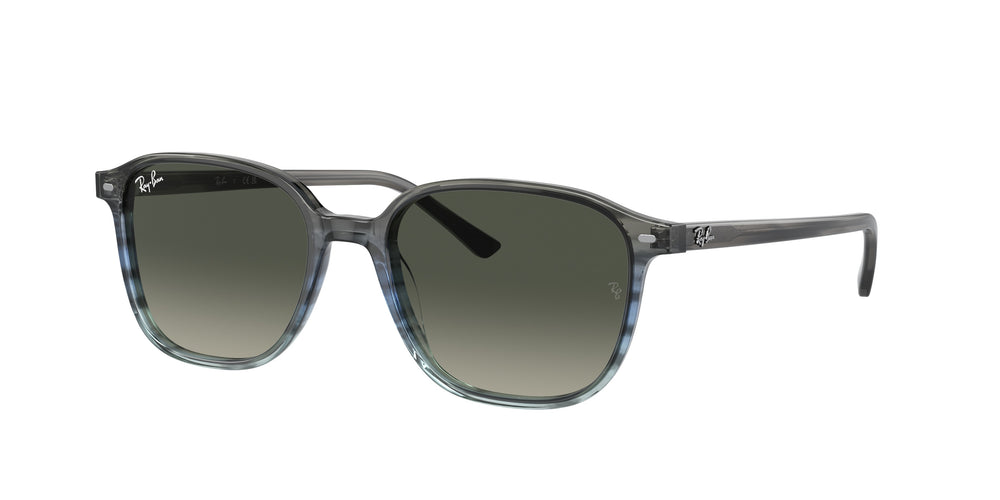 Ray-Ban RB2193 LEONARD 138171 55