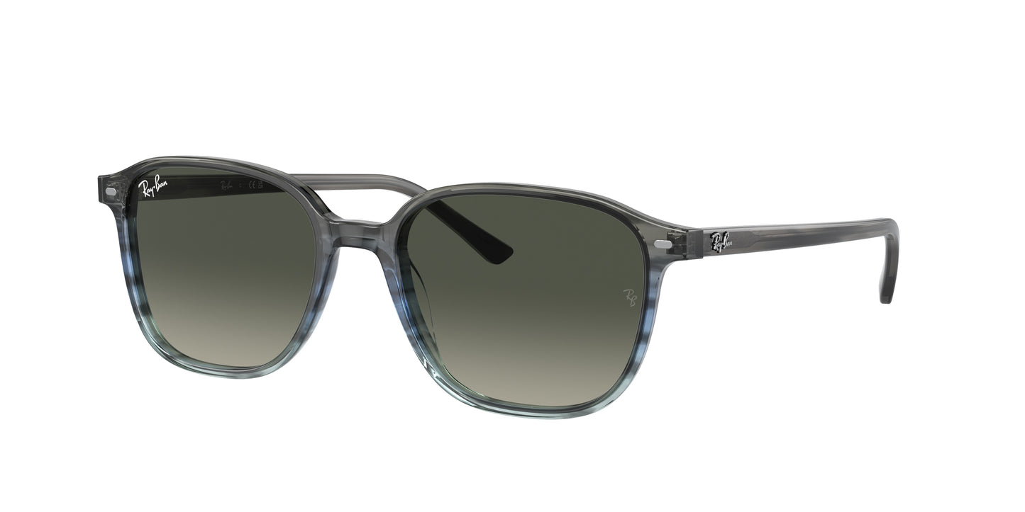 Ray-Ban RB2193 LEONARD 138171 55