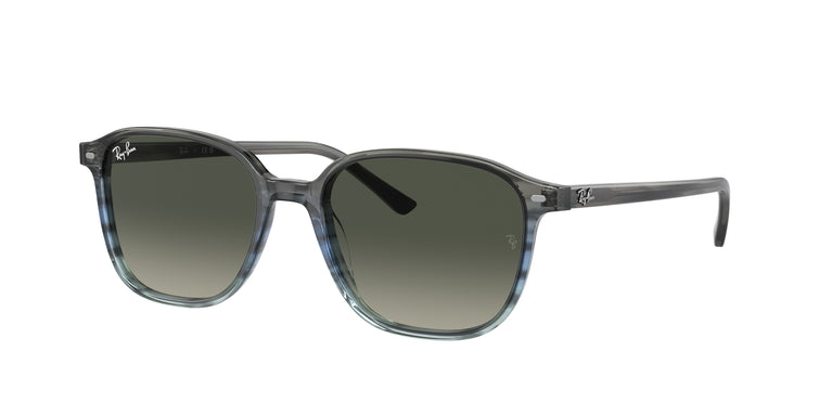 Ray-Ban RB2193 LEONARD 138171 55