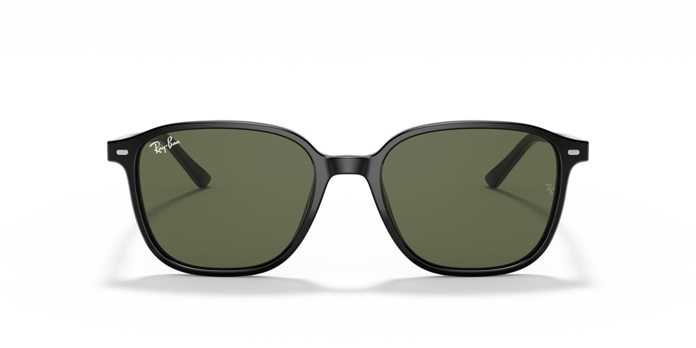 Ray-Ban RB2193 LEONARD - 901/31 - Black - 53 mm
