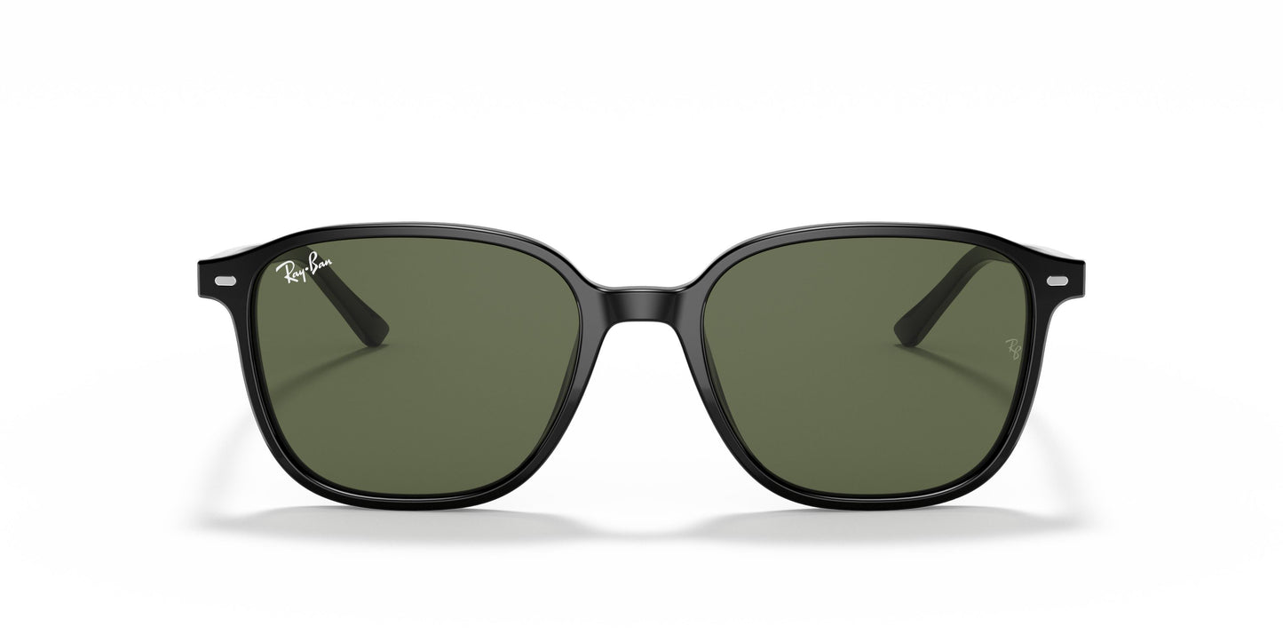 Ray-Ban RB2193 LEONARD 901/31 55