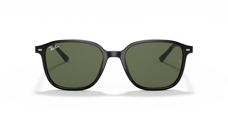 Ray-Ban RB2193 LEONARD 901/31 55