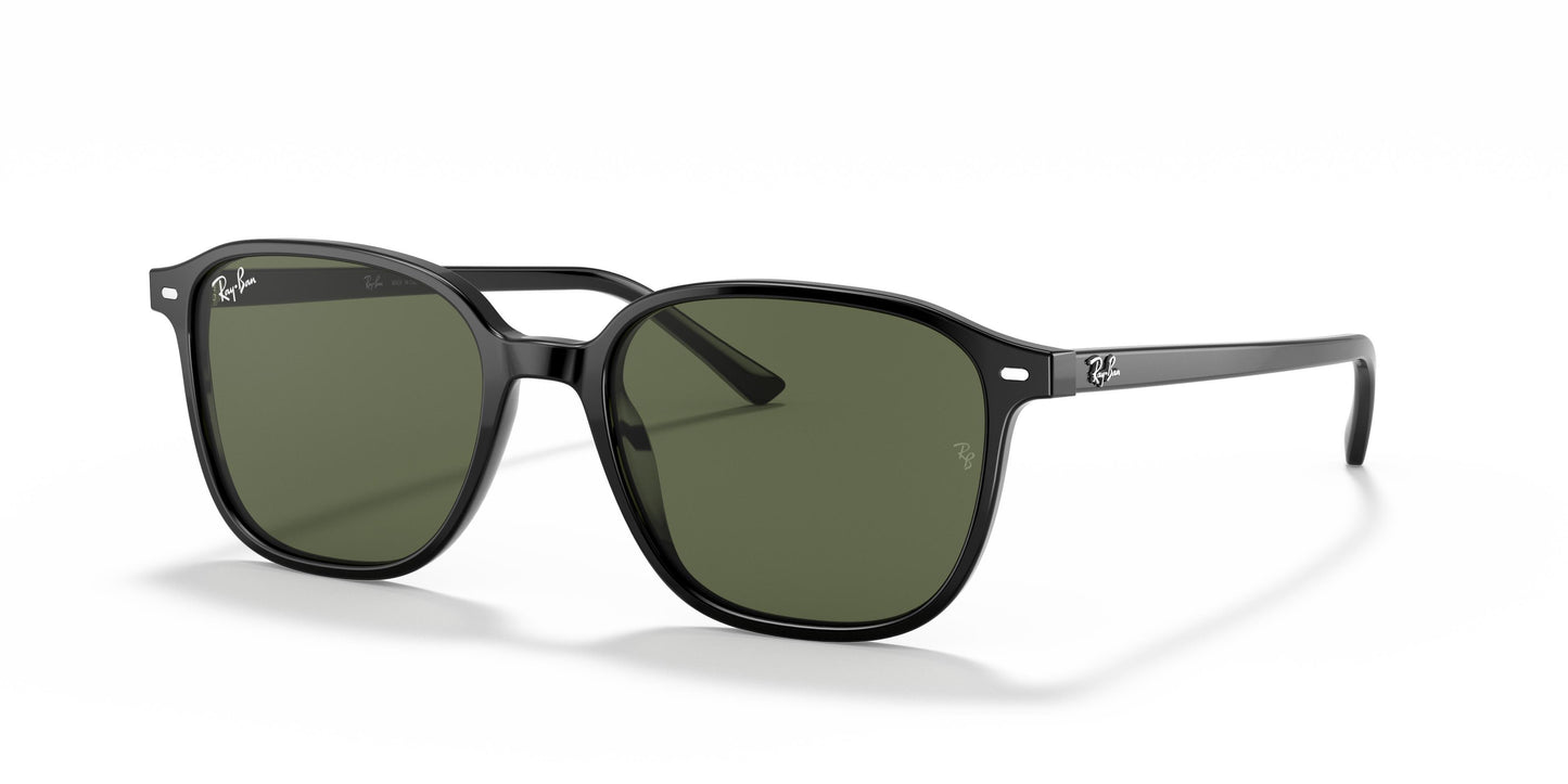 Ray-Ban RB2193 LEONARD 901/31 55
