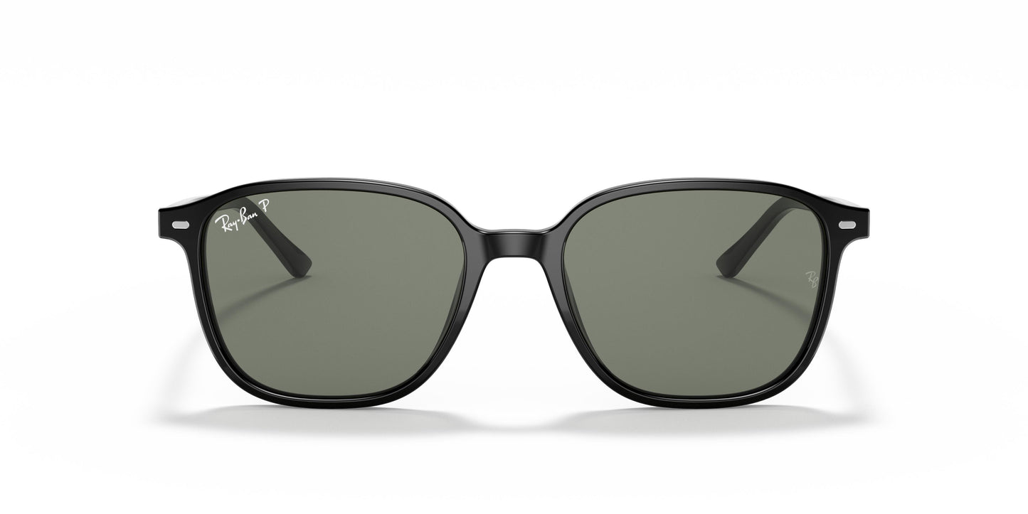 Ray-Ban RB2193 LEONARD 901/58 55