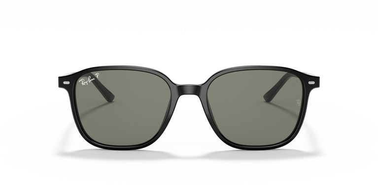 Ray-Ban RB2193 LEONARD 901/58 55
