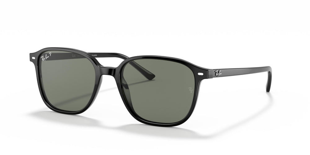 Ray-Ban RB2193 LEONARD 901/58 53