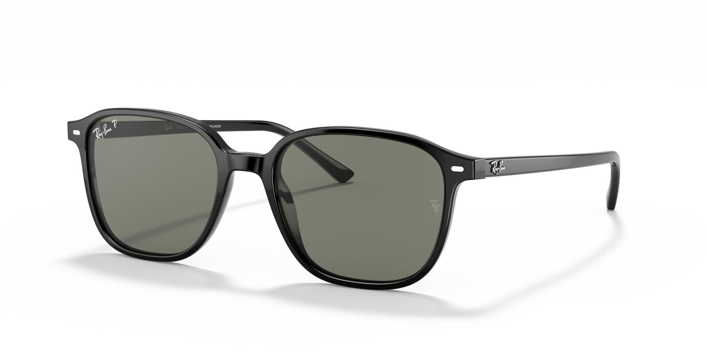 Ray-Ban RB2193 LEONARD 901/58 55
