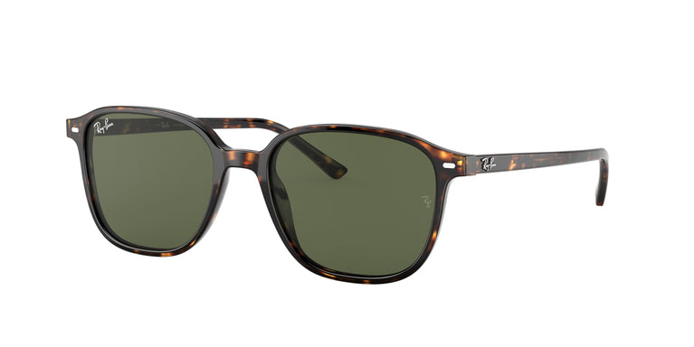 Ray-Ban RB2193 LEONARD 902/31 55