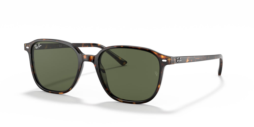 Ray-Ban RB2193 LEONARD 902/31 53